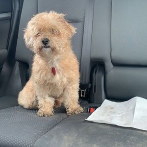 Meet your Posher, Lisa